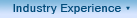 Industry Experience