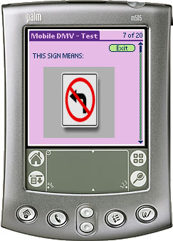 Palm Screen 3